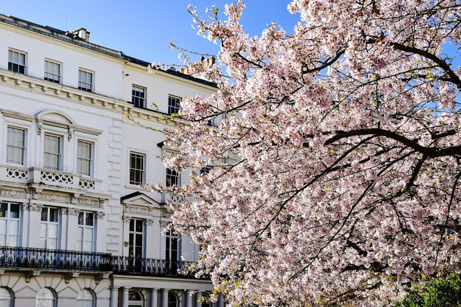 Image of a row of colorful Victorian-style terraced houses on a city street, featuring facades painted in shades of beige, blue, green, and pink. The buildings have large sash windows, some with white frames, and decorative cornices along the rooflines. Leafless trees with sprawling branches are visible in front of the buildings, partially obscuring the lower sections. A lamppost stands near the green building, and the clear sky in the background suggests daytime. The scene captures an urban residential area, which may be part of a home relocation or furniture transport scenario managed by Clapham Man and Van, supporting their removals services for flats near Clapham Common.